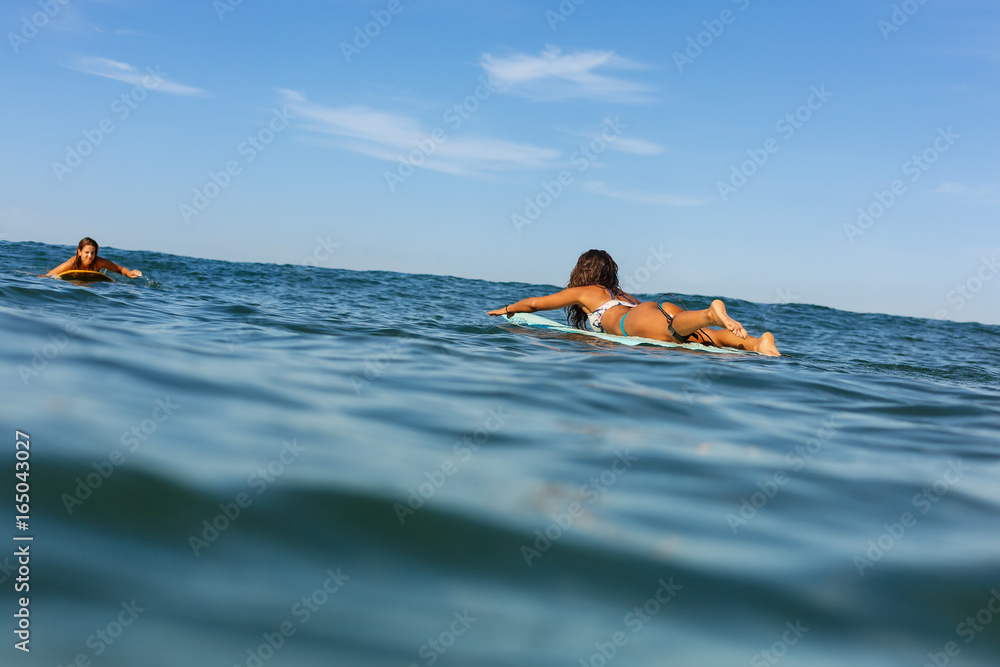Fototapeta premium Two beautiful sporty surfing girl in sexy bikini swim towards each other on big longboard surf surfboard board on sunrise or sunset in the ocean. Modern active sport lifestyle and summer vacation.