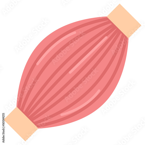 Human muscle icon, vector illustration flat style design isolated on white. Colorful graphics