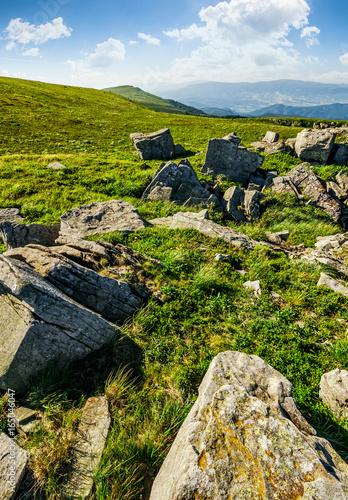 meadow with boulders in Carpathian mountains in summer photo