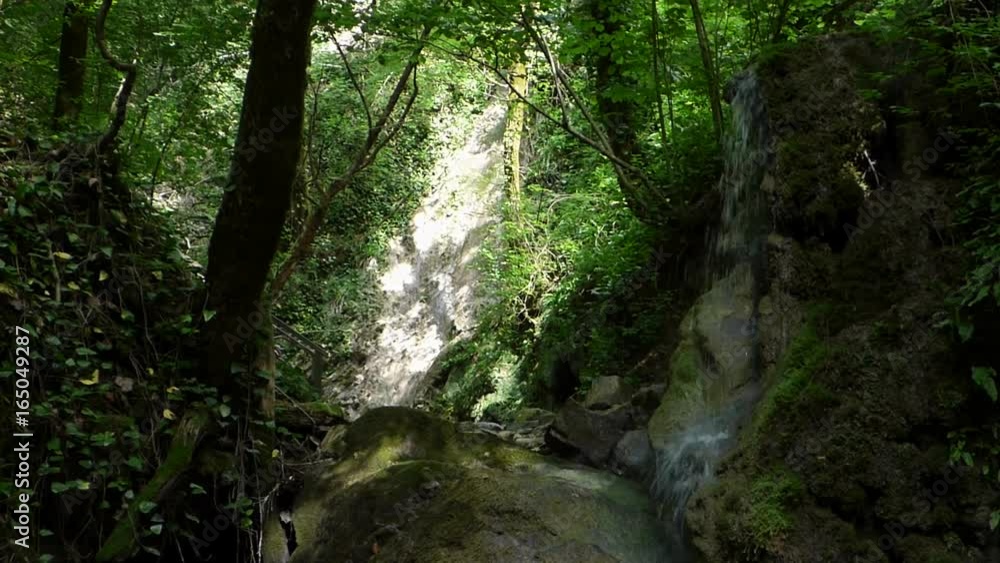 Small waterfall in the forest. Pure water flowing between stones. Old rocks with moss and trees with green leaves around. Sunny summer day, natural landscape. Small waterfall in the forest. Pure water flowing between stones. Old rocks with moss and trees with green leaves around. Sunny summer day, natural landscape.