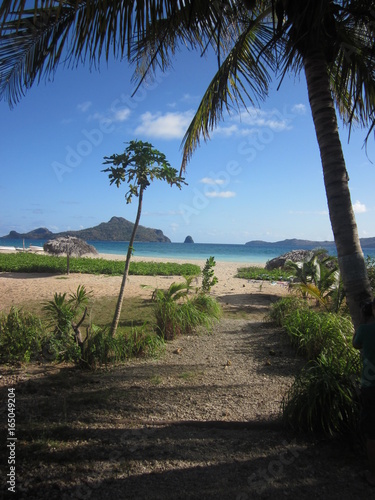 VUE TROPICALE