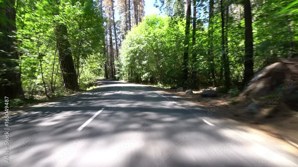 Yosemite Driving Plate Valley 09 Forest Yosemite Driving Plate Valley 09 Forest