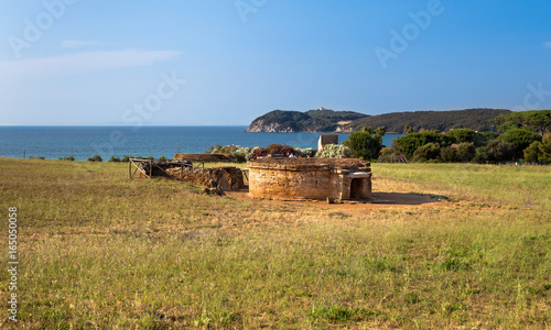 Populonia