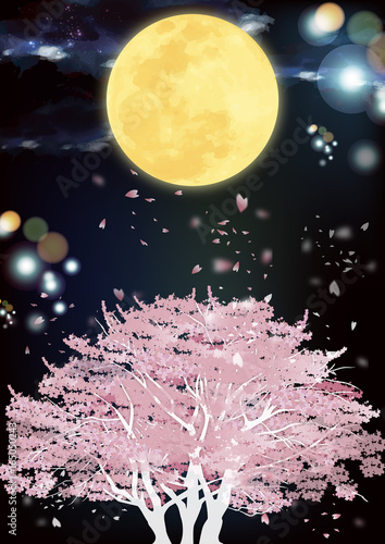 月夜桜