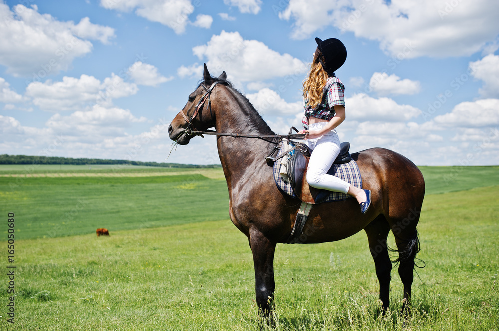 Young pretty girl riding a horse on a field at sunny day. Young pretty girl riding a horse on a field at sunny day.