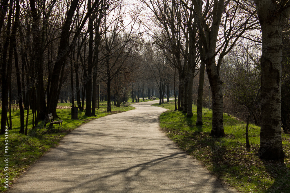 Footpath in a public park