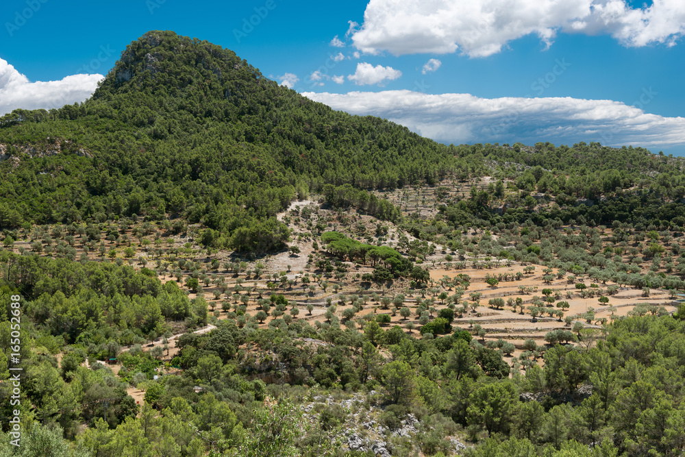Mallorca - Cultural landscape in the Tramuntana mountains near Galilea - 4287