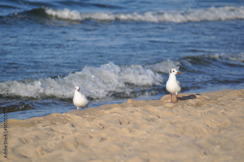 Obraz na płótnie czas na plaży