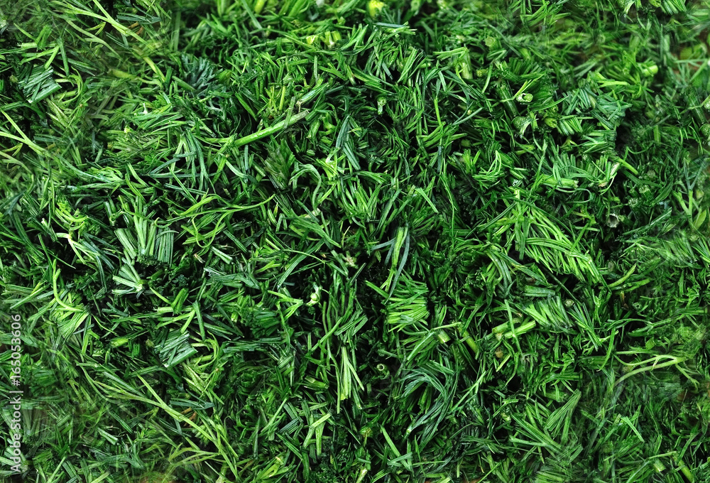 dill chopped, sliced greenery (background, texture) dill chopped, sliced greenery (background, texture)
