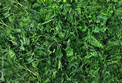 dill chopped, sliced greenery (background, texture) © Aliaksandr
