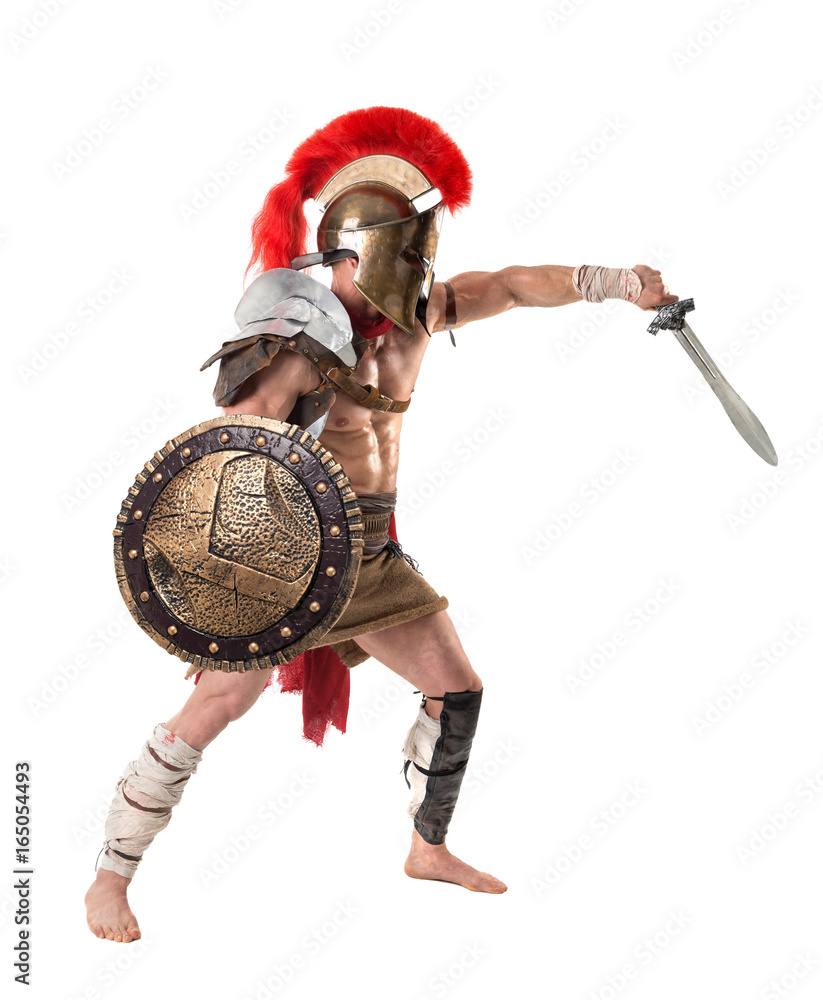 Ancient soldier or Gladiator