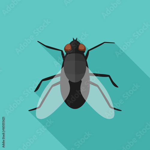 Fly flat icon with long shadow