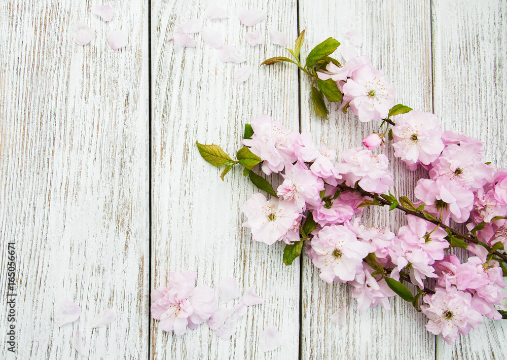 Spring sakura blossom Spring sakura blossom