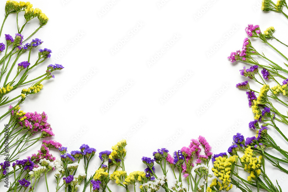 Colorfull wildflowers on white background, bottom border. Flat lay, top view.
