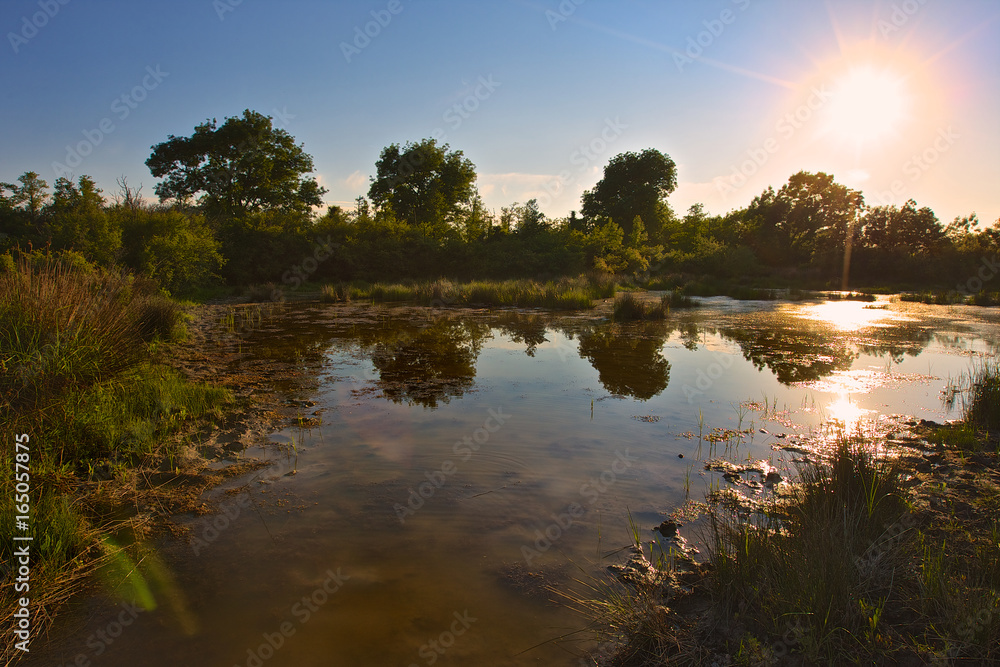 Fototapeta premium Parco