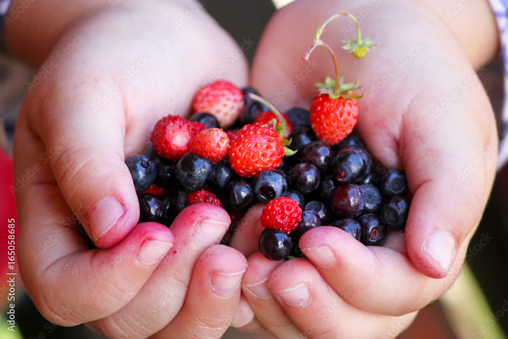 Little girl holding forest berries in open palms. Little girl holding forest berries in open palms.