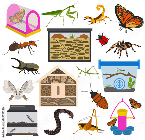 Pet appliance icon set flat style isolated on white. Insects care collection. Create own infographic about beetle, bug, butterfly, stick, mantis, spider, cricket etc.
