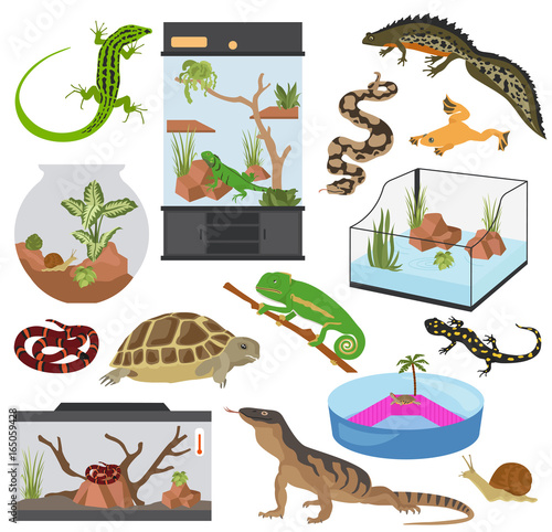Pet appliance icon set flat style isolated on white. Reptiles and amphibians care collection. Create own infographic