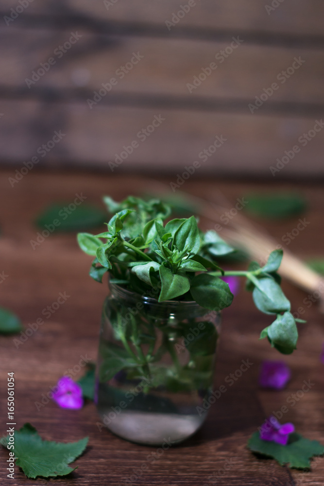 A plant in a glass jar with a blurred background.