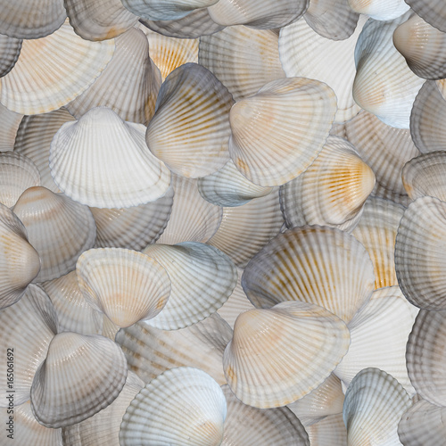 Seaslells seamless pattern