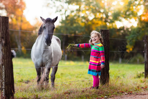 Little girl feeding a horse
