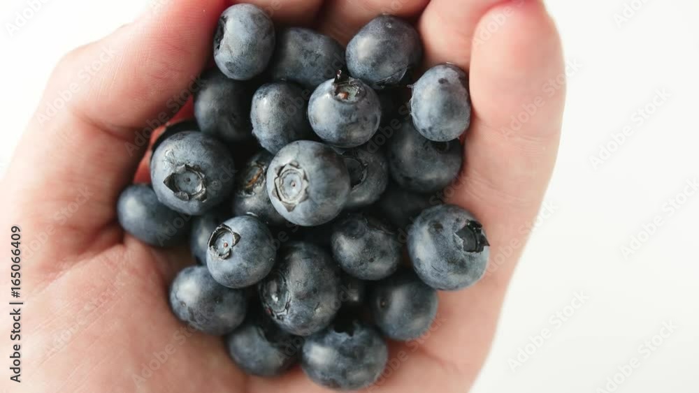 Blue berries in hand on white background, shallow dept of field. Handful of freshly picked blueberries isolated on white. Blue berries in hand on white background, shallow dept of field. Handful of freshly picked blueberries isolated on white.