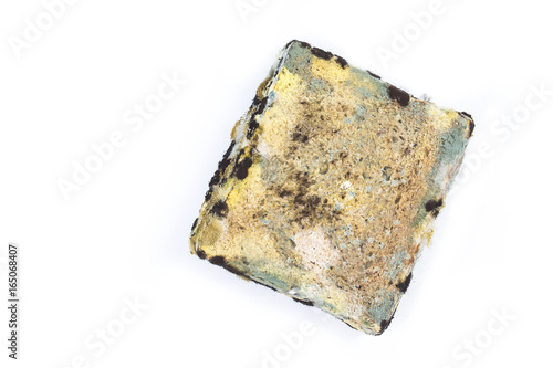 Moldy bread on white background