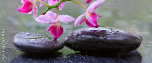 Pink orchids and black stones .Wellness background.