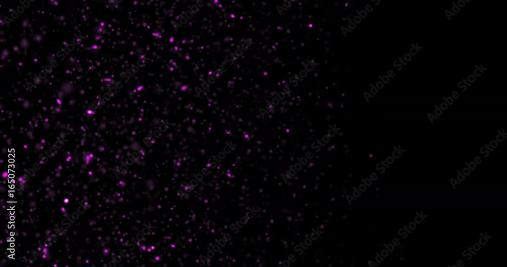 Animation Abstract Pink Particles on Black Background Animation Abstract Pink Particles on Black Background