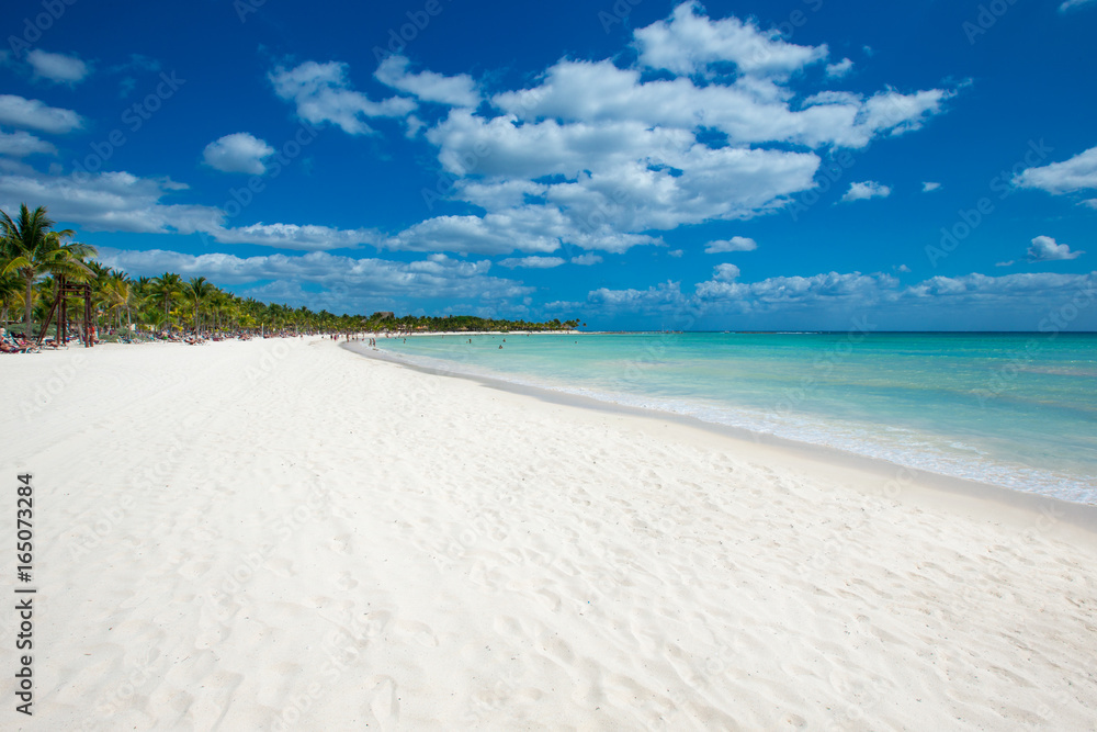 Obraz premium tropical sea