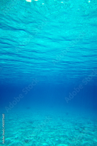 underwater scene with copy space © Pakhnyushchyy