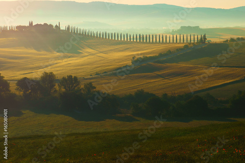 Tuscany is a beautiful  very photogenic landscape in central Italy