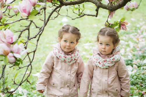 фотографія Identical twin girls under blooming magnolia