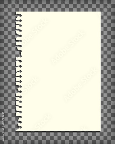 Empty notebook page with torn edge