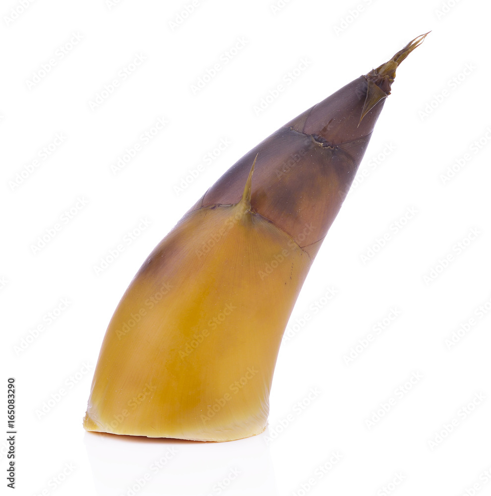 boiled bamboo shoots isolate on white background Stock Photo Adobe Stock