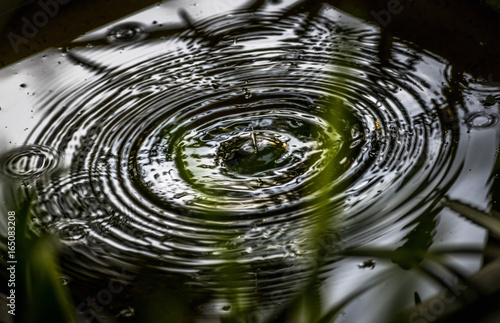Concentric Morn'