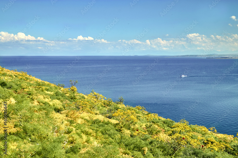   Summer landscape with descending shore full of yellow flowers and blue surface of the lake and a ship sailing along it In the distance   