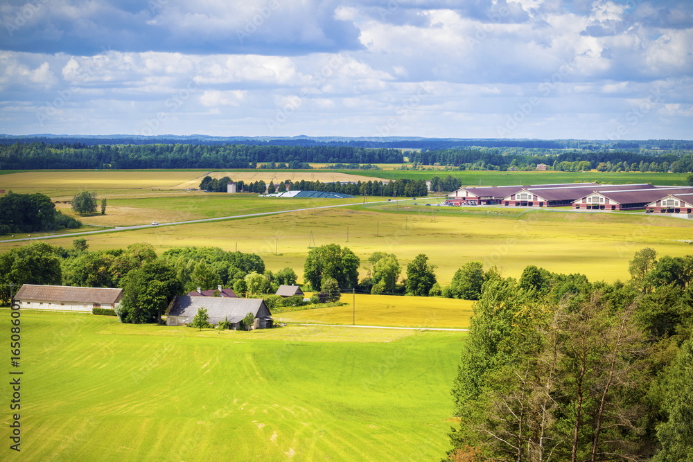 Top view on rural landscape
