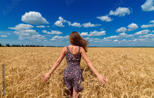 Back view of beautiful young woman walking in golden wheat field with cloudy blue sky background, free space. Liberty, peace of mind concept. Girl in spikes of ripe wheat field under blue sky © mirage_studio