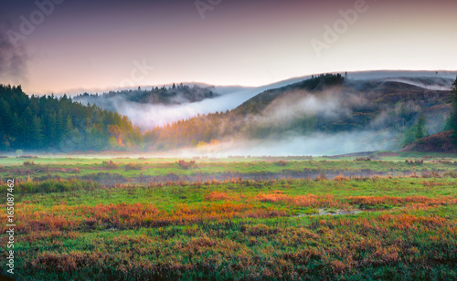 Colorful landscape of the Coquille River Valley in Southern Oregon, USA 