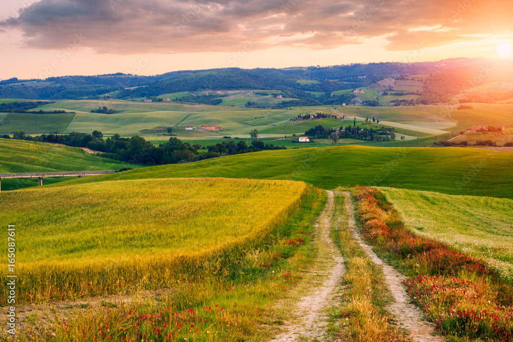 Beautiful Tuscany landscape