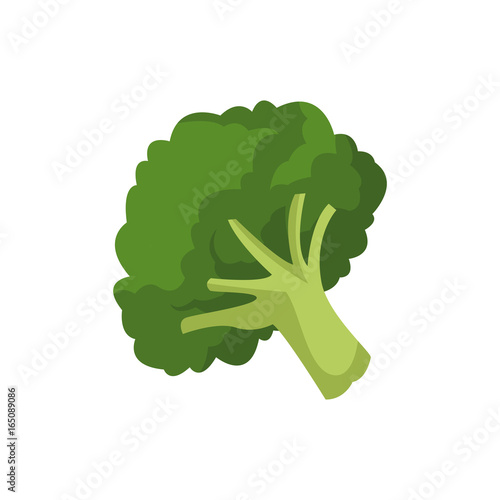 broccoli vegetable fresh farm healthy food photo