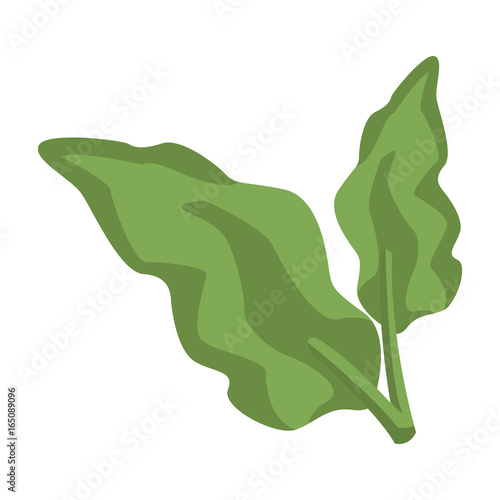 leaves plant natural foliage garden icon