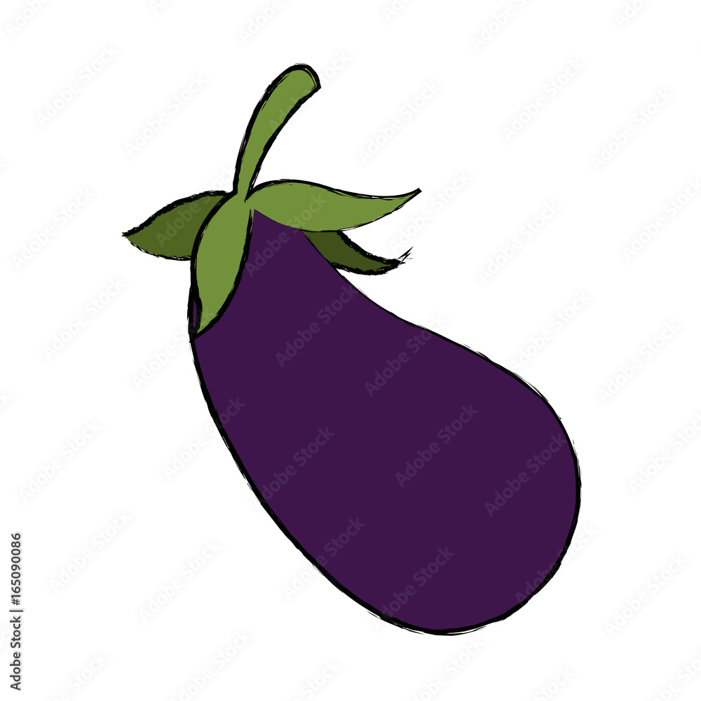 eggplant vegetable nutrition food diet eggplant vegetable nutrition food diet