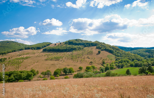 Summer hills from high point