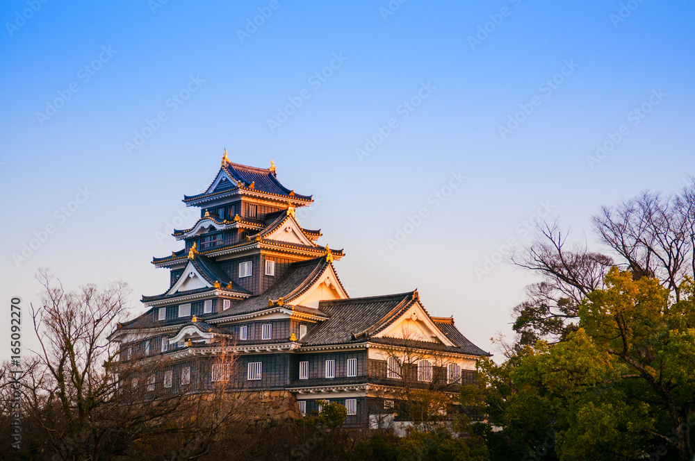 Obraz premium Okayama Castle in early autumn.