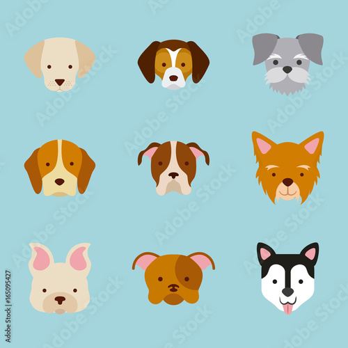 icon set love dogs vector house illustration design graphic