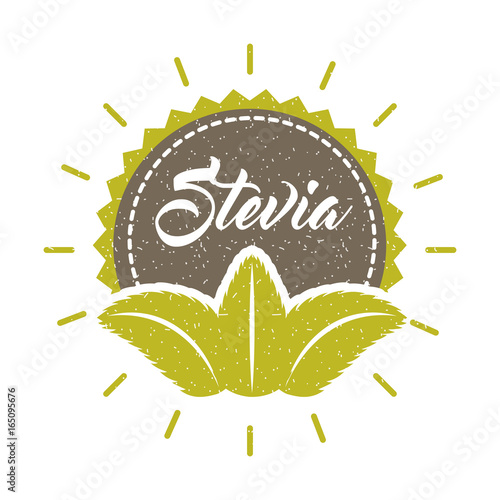 Stevia natural sweetener icon vector illustration design graphic