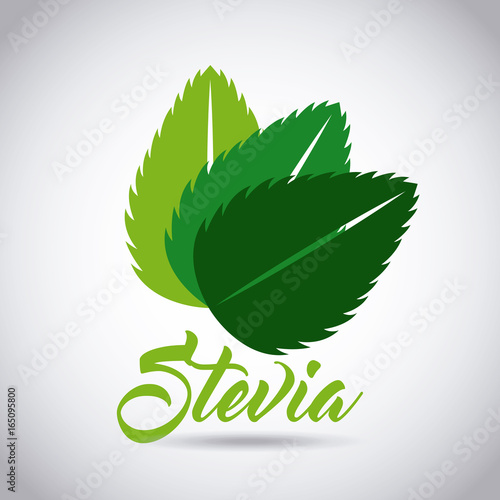Stevia natural sweetener icon vector illustration design graphic
