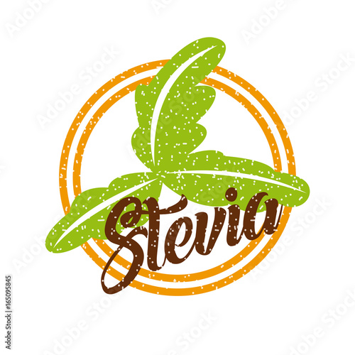 Stevia natural sweetener icon vector illustration design graphic